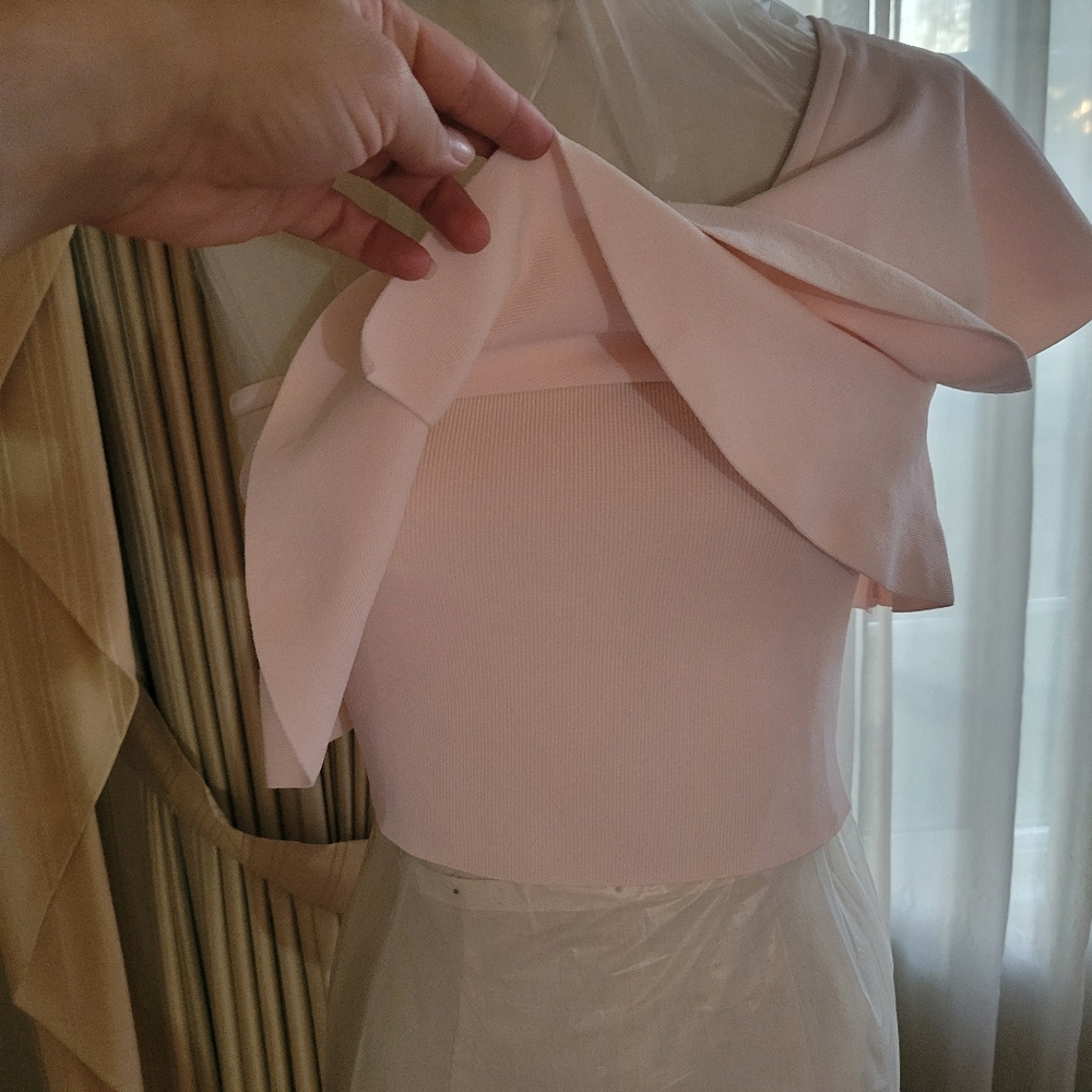 Bebe One-Shoulder Pink Ruffle Top - Picture 10 of 10